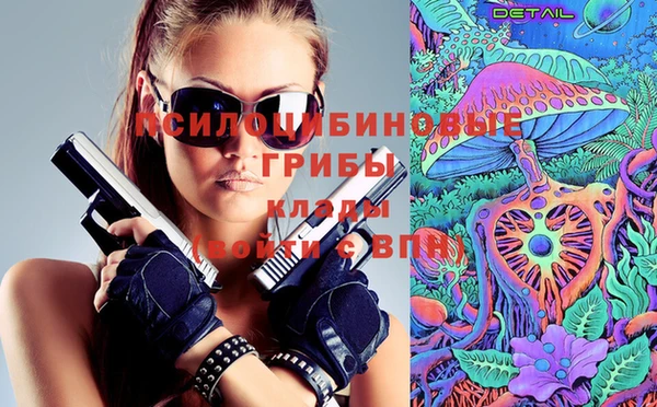стаф Алексин