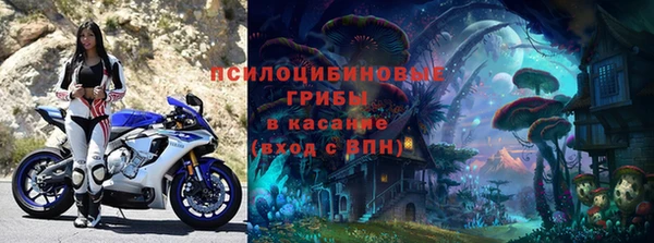 каннабис Абаза